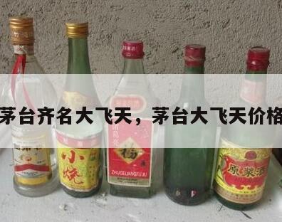 茅台齐名大飞天，茅台大飞天价格