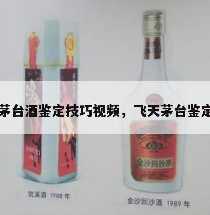 飞天茅台酒鉴定技巧视频，飞天茅台鉴定方法