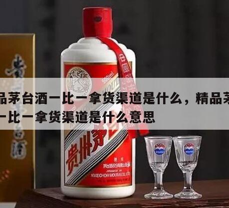 精品茅台酒一比一拿货渠道是什么，精品茅台酒一比一拿货渠道是什么意思