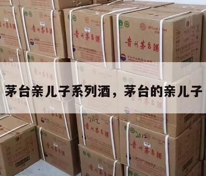 茅台亲儿子系列酒，茅台的亲儿子