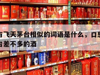 口感与飞天茅台相似的词语是什么，口感和飞天茅台差不多的酒
