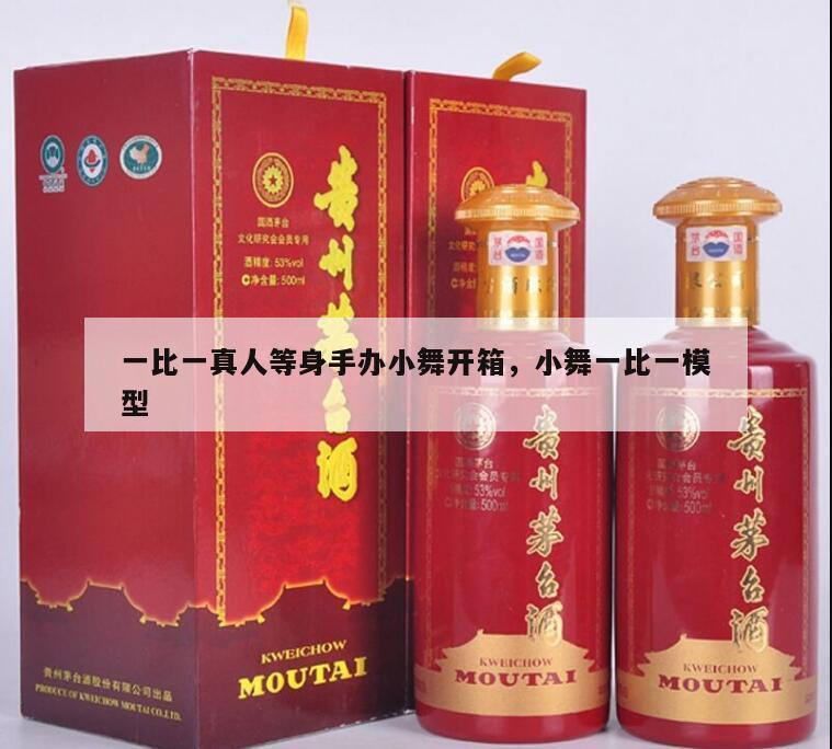 一比一真人等身手办小舞开箱，小舞一比一模型