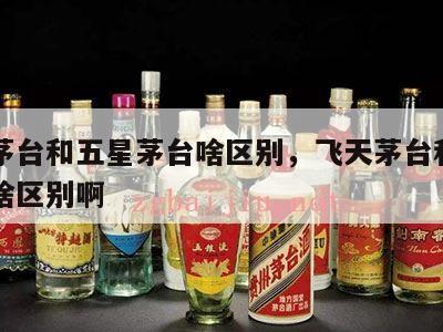 飞天茅台和五星茅台啥区别，飞天茅台和五星茅台啥区别啊