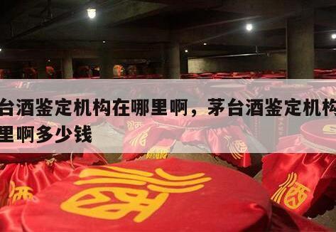 茅台酒鉴定机构在哪里啊，茅台酒鉴定机构在哪里啊多少钱