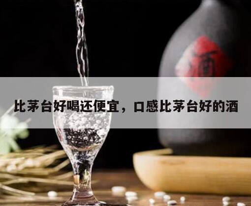 比茅台好喝还便宜，口感比茅台好的酒