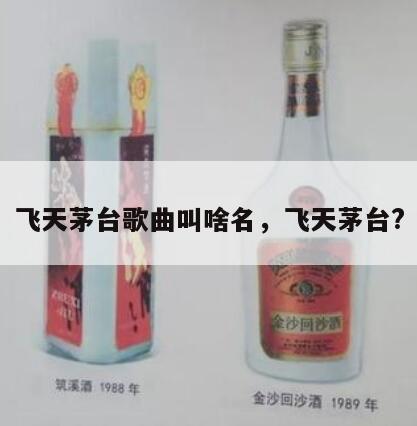 飞天茅台歌曲叫啥名，飞天茅台?