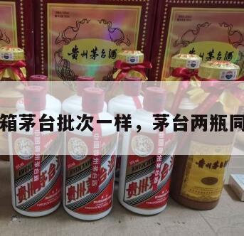 两箱茅台批次一样，茅台两瓶同码