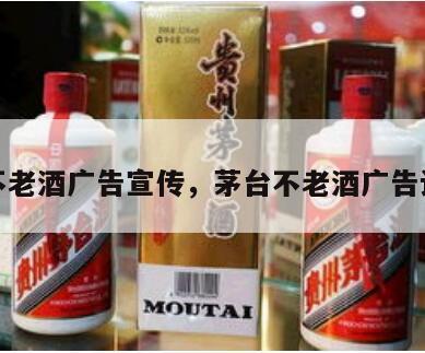 茅台不老酒广告宣传，茅台不老酒广告语征集