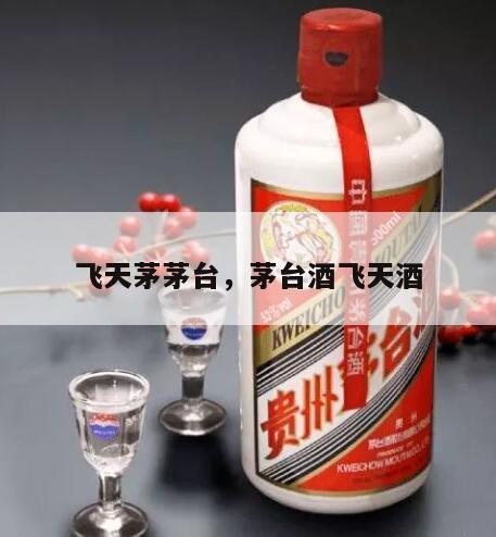 飞天茅茅台，茅台酒飞天酒