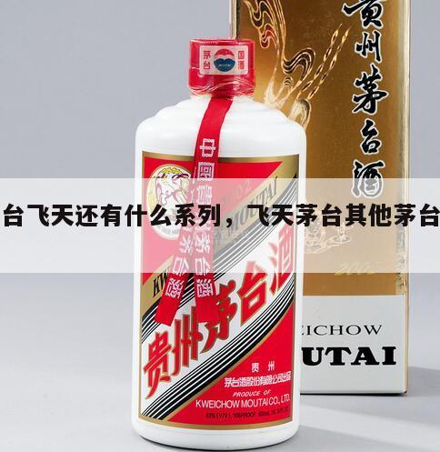 茅台飞天还有什么系列，飞天茅台其他茅台区别