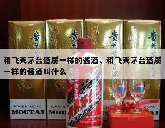 和飞天茅台酒质一样的酱酒，和飞天茅台酒质一样的酱酒叫什么