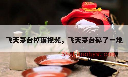 飞天茅台掉落视频，飞天茅台碎了一地