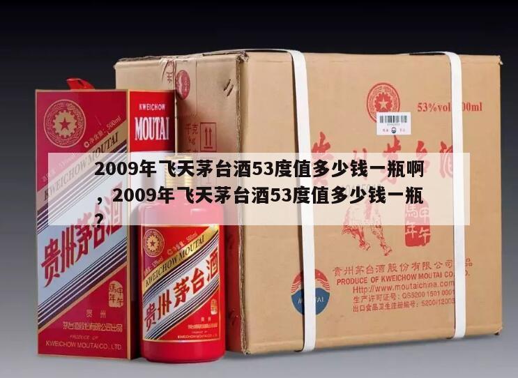 2009年飞天茅台酒53度值多少钱一瓶啊，2009年飞天茅台酒53度值多少钱一瓶?