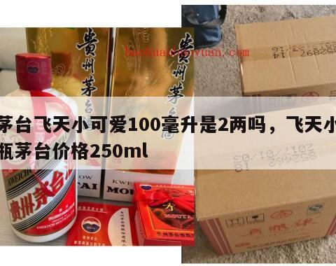 茅台飞天小可爱100毫升是2两吗，飞天小瓶茅台价格250ml