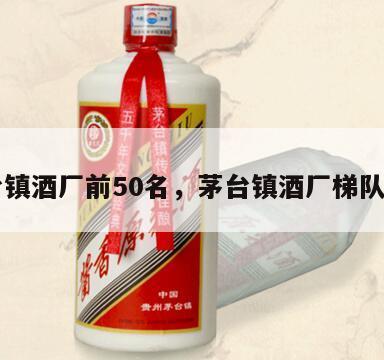茅台镇酒厂前50名，茅台镇酒厂梯队排名