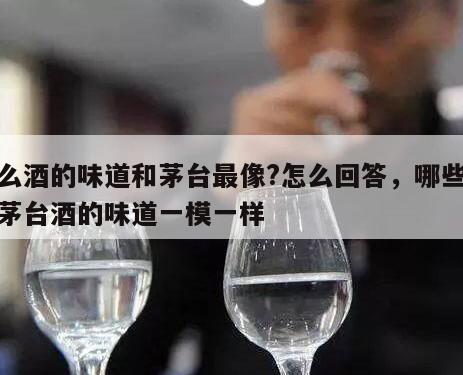 什么酒的味道和茅台最像?怎么回答，哪些酒跟茅台酒的味道一模一样