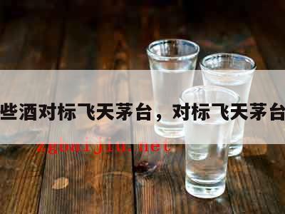 有哪些酒对标飞天茅台，对标飞天茅台的酒