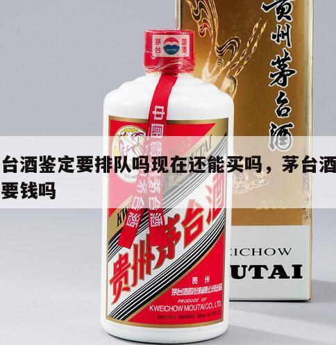 茅台酒鉴定要排队吗现在还能买吗，茅台酒鉴定要钱吗