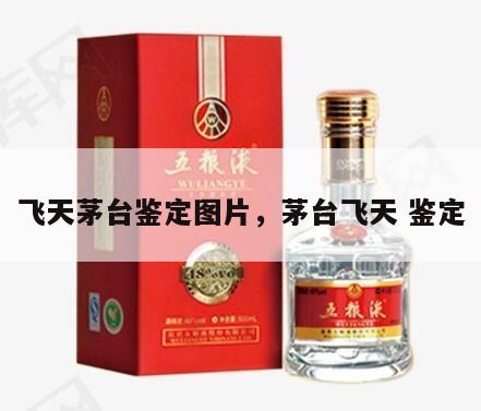 飞天茅台鉴定图片，茅台飞天 鉴定