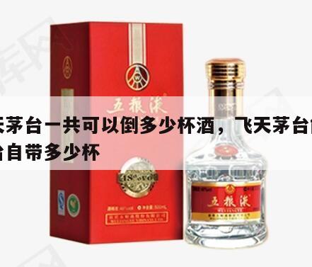 飞天茅台一共可以倒多少杯酒，飞天茅台能到茅台自带多少杯
