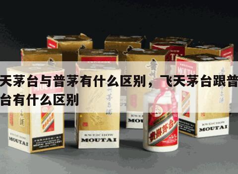 飞天茅台与普茅有什么区别，飞天茅台跟普通茅台有什么区别