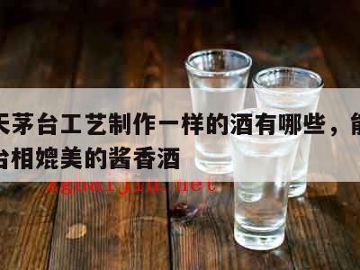 和飞天茅台工艺制作一样的酒有哪些，能与飞天茅台相媲美的酱香酒