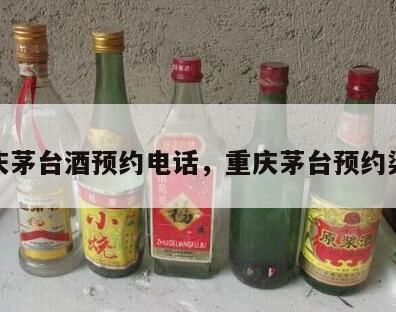 重庆茅台酒预约电话，重庆茅台预约渠道