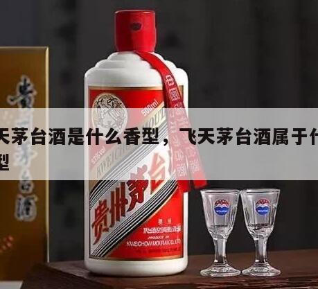 飞天茅台酒是什么香型，飞天茅台酒属于什么香型