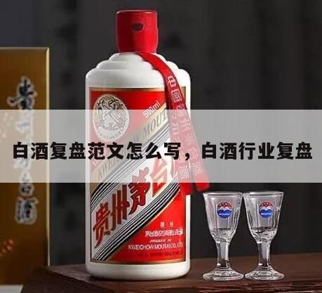 白酒复盘范文怎么写，白酒行业复盘