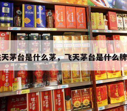 飞天茅台是什么茅，飞天茅台是什么牌子