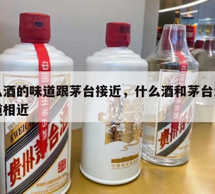什么酒的味道跟茅台接近，什么酒和茅台酒的味道相近