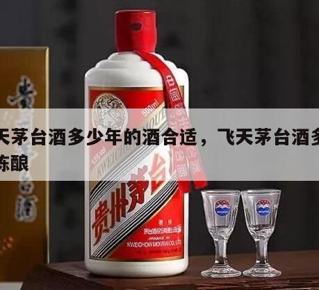 飞天茅台酒多少年的酒合适，飞天茅台酒多少年陈酿