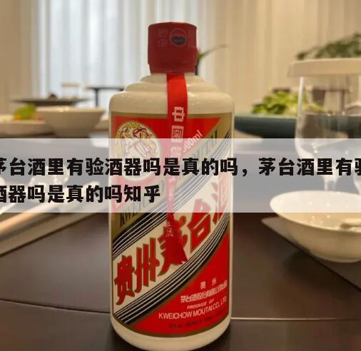 茅台酒里有验酒器吗是真的吗，茅台酒里有验酒器吗是真的吗知乎