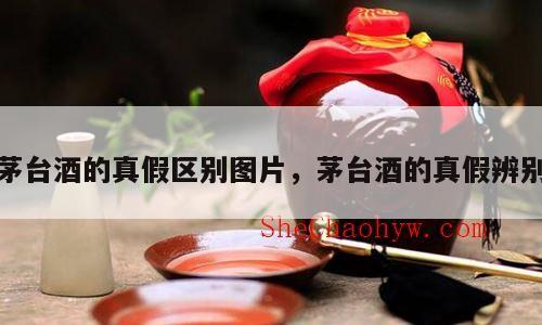 茅台酒的真假区别图片，茅台酒的真假辨别