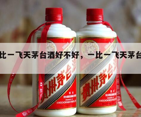 一比一飞天茅台酒好不好，一比一飞天茅台厂家