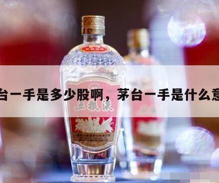茅台一手是多少股啊，茅台一手是什么意思