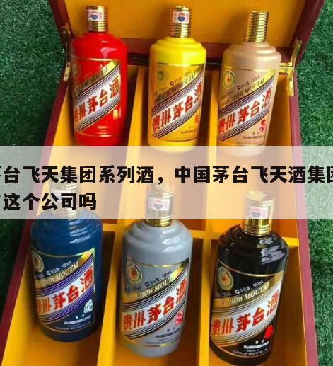 茅台飞天集团系列酒，中国茅台飞天酒集团 有这个公司吗
