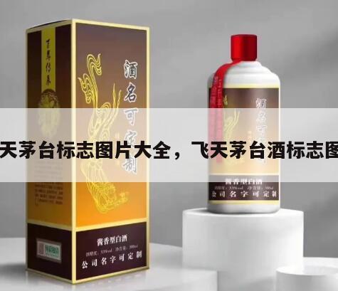 飞天茅台标志图片大全，飞天茅台酒标志图片