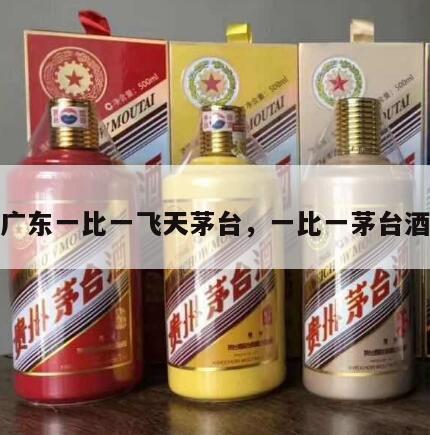 广东一比一飞天茅台，一比一茅台酒