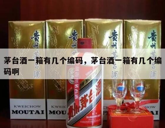 茅台酒一箱有几个编码，茅台酒一箱有几个编码啊