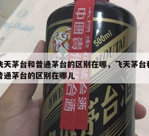 飞天茅台和普通茅台的区别在哪，飞天茅台和普通茅台的区别在哪儿