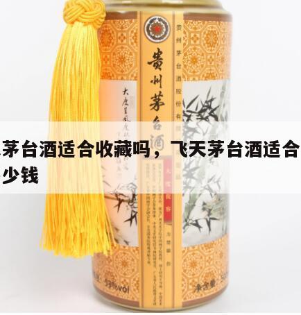 飞天茅台酒适合收藏吗，飞天茅台酒适合收藏吗多少钱