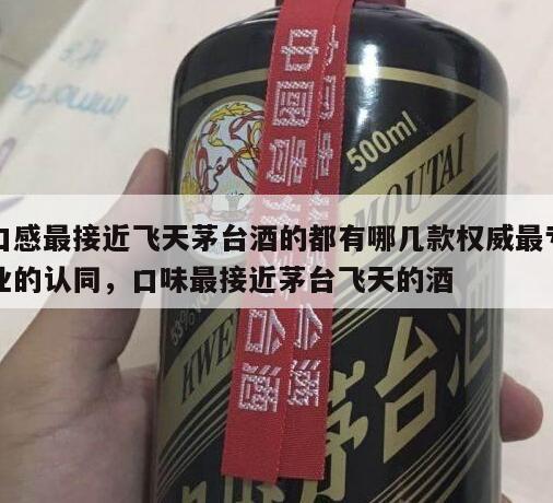 口感最接近飞天茅台酒的都有哪几款权威最专业的认同，口味最接近茅台飞天的酒