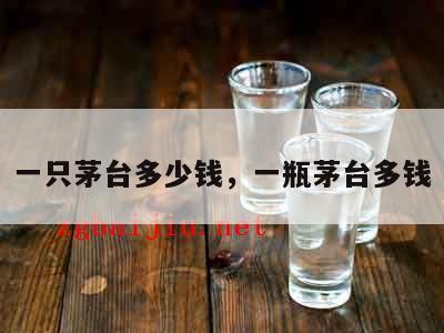 一只茅台多少钱，一瓶茅台多钱