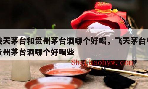 飞天茅台和贵州茅台酒哪个好喝，飞天茅台和贵州茅台酒哪个好喝些