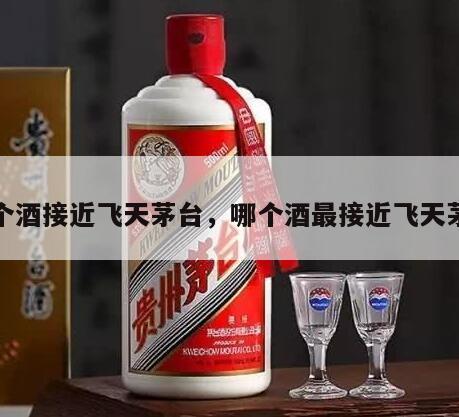 哪个酒接近飞天茅台，哪个酒最接近飞天茅台