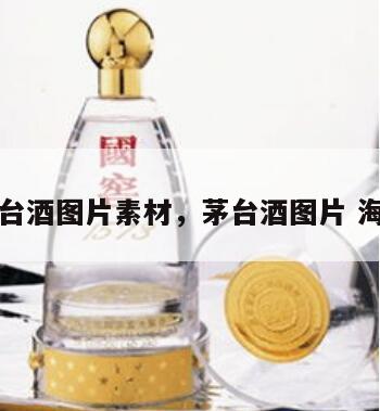 茅台酒图片素材，茅台酒图片 海报