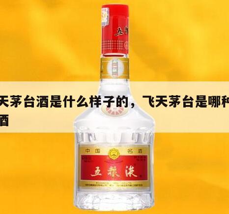 飞天茅台酒是什么样子的，飞天茅台是哪种茅台酒