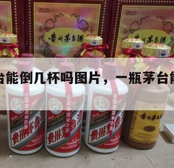 一瓶茅台能倒几杯吗图片，一瓶茅台能倒几杯吗图片