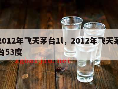 2012年飞天茅台1l，2012年飞天茅台53度